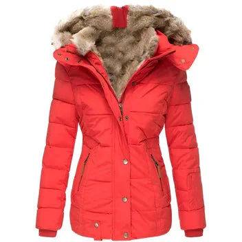 Getailleerde Gewatteerde Winterjas Dames met Capuchon in Rood, productfoto